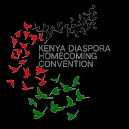 Diaspora Homecoming